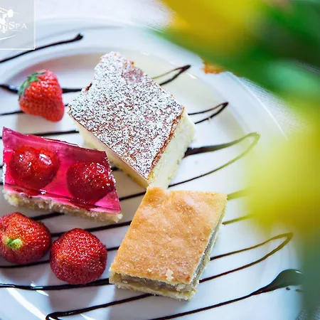 Karkonoski 아파트호텔 3*