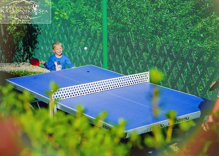 Aparthotel Karkonoski