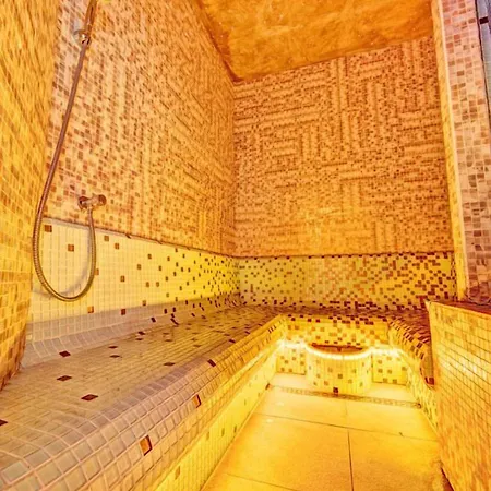 شقة فندقية Karkonoski