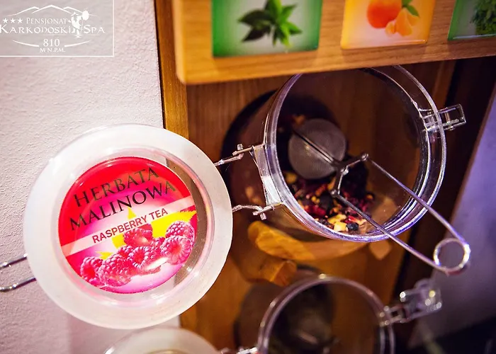 Karkonoski 公寓式酒店