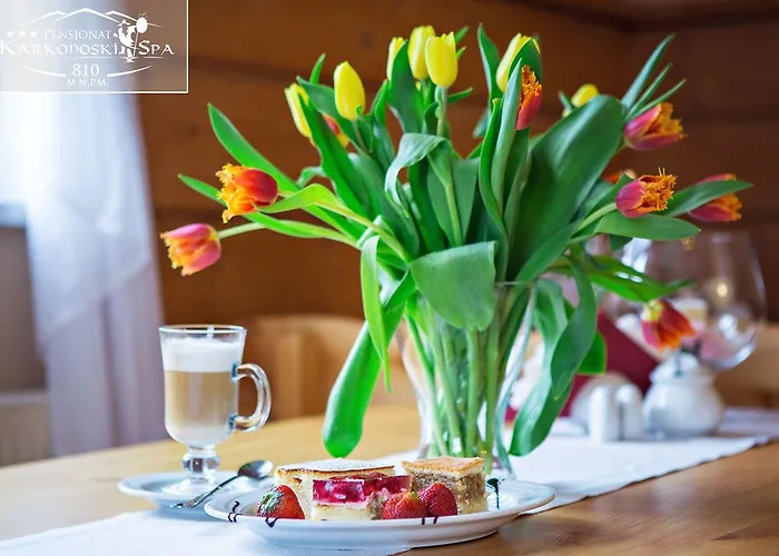 Karkonoski Hotel apartamentowy